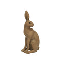 Harold the Hare Turning (Brown)