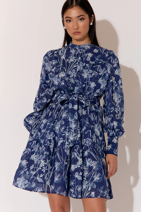 Celeste Long Sleeve Print Dress