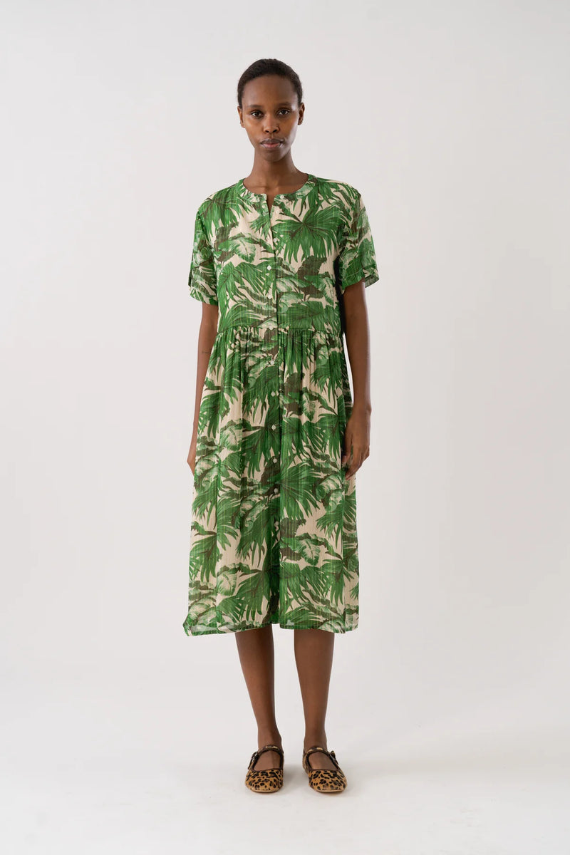 Lolly's Laundry - Aliya Midi Dress (Green)