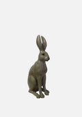 Harold the Hare (Brown)