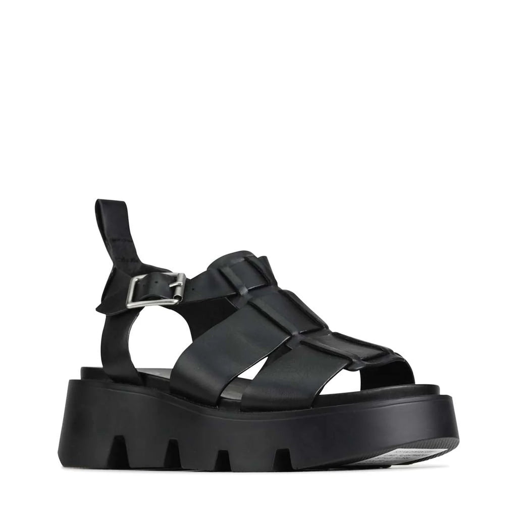 Kailan (Black)