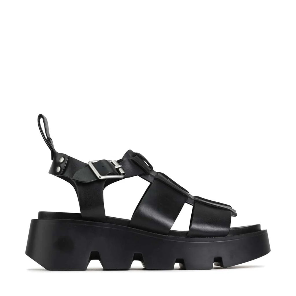 Kailan (Black)