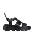Kailan (Black)