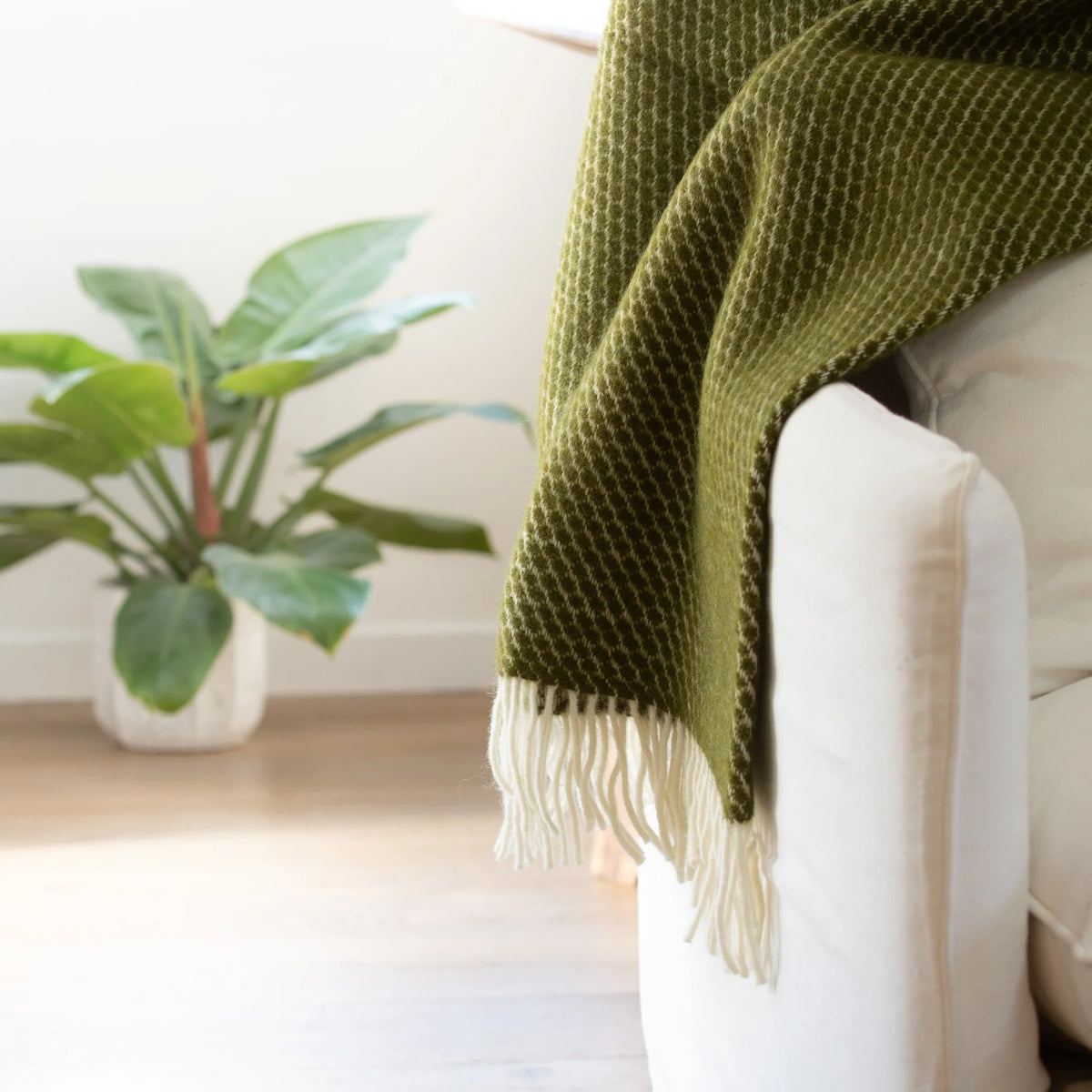 Klippan Lambswool Throw Velvet (Avocado)