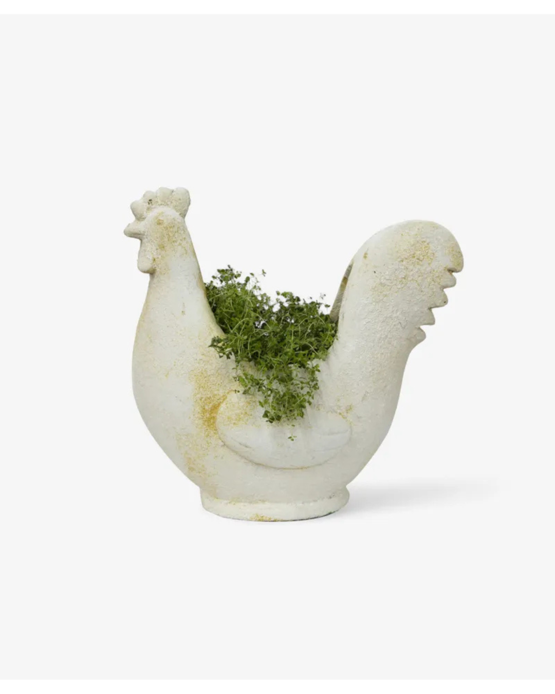Chook Flower Pot