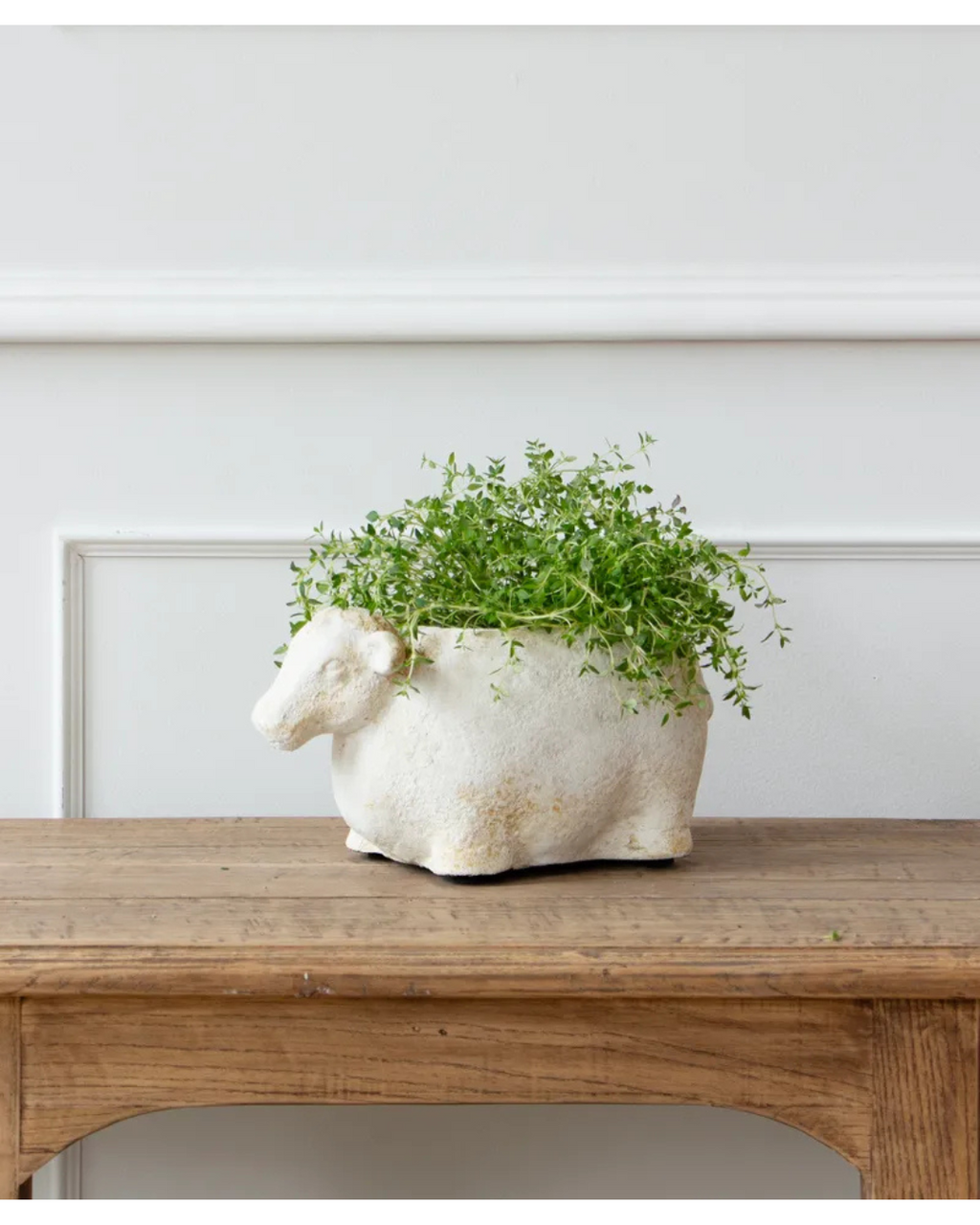 Sheep Flower Pot