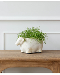 Sheep Flower Pot