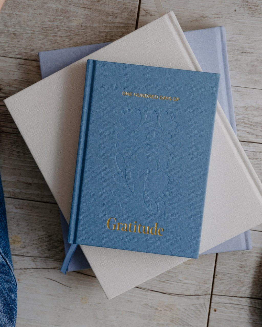 100 Days Of Gratitude (Sky Blue)