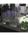 Le Forge - Test Tube 15pc Vase 3x5 H: 12cm