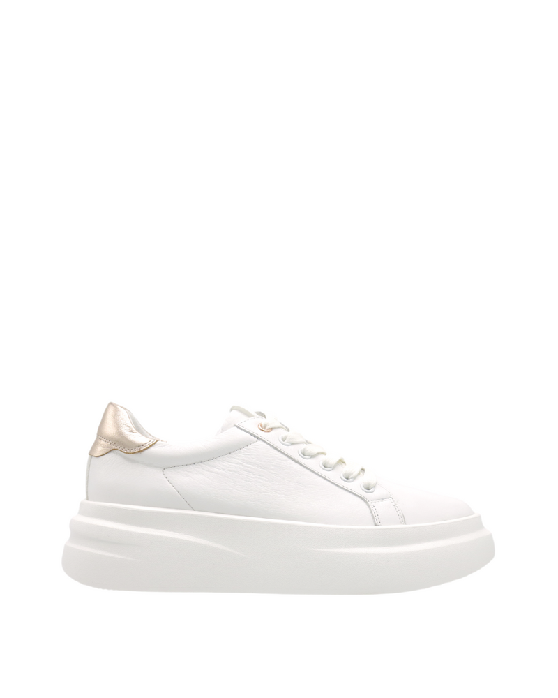 Vita Pacific - Baily-T (White/Rose Gold)