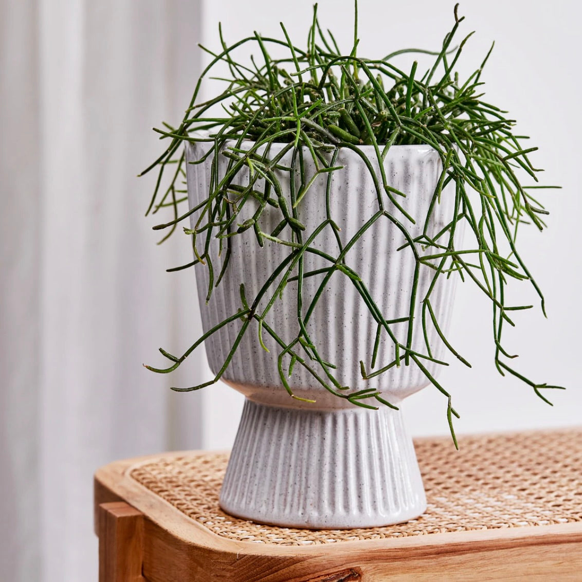Taylor Ribbed White Planter Large